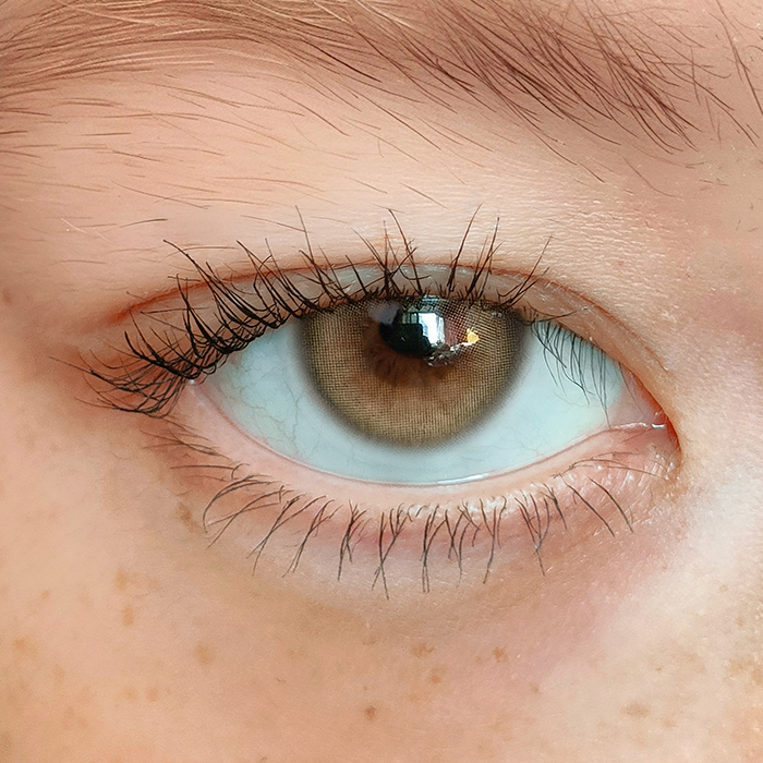 원데이 배드캣 샴 베이지